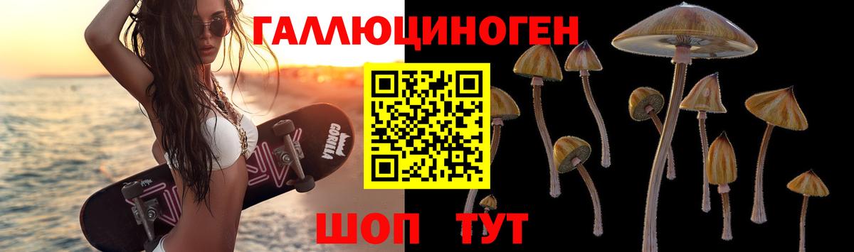 купить наркоту  Псилоцибиновые грибы GOLDEN TEACHER  Моздок  Вход с VPN  Псилоцибиновые грибы MAGIC MUSHROOMS 