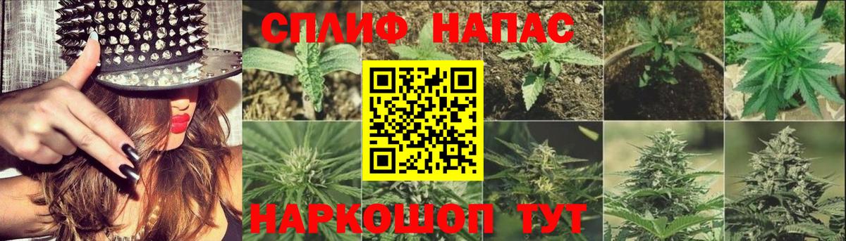 Канабис OG Kush Моздок